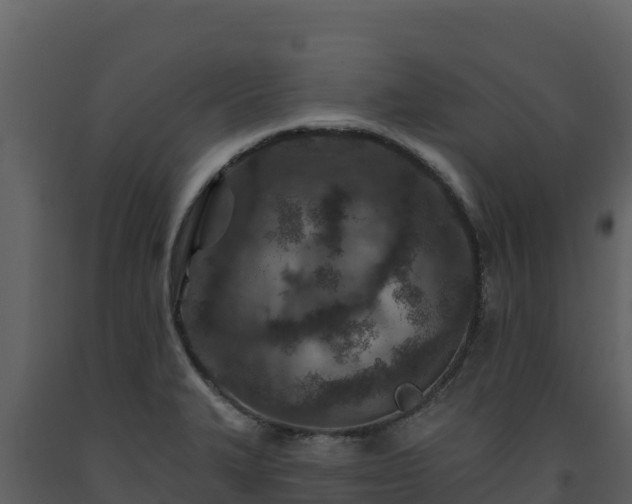 X0000093471327200710191137