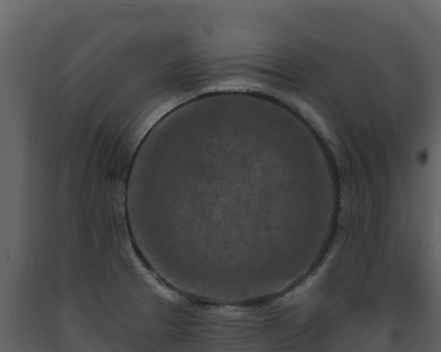 X0000093471329200710191137