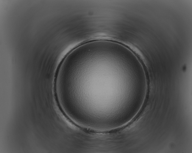 X0000093471333200710191137