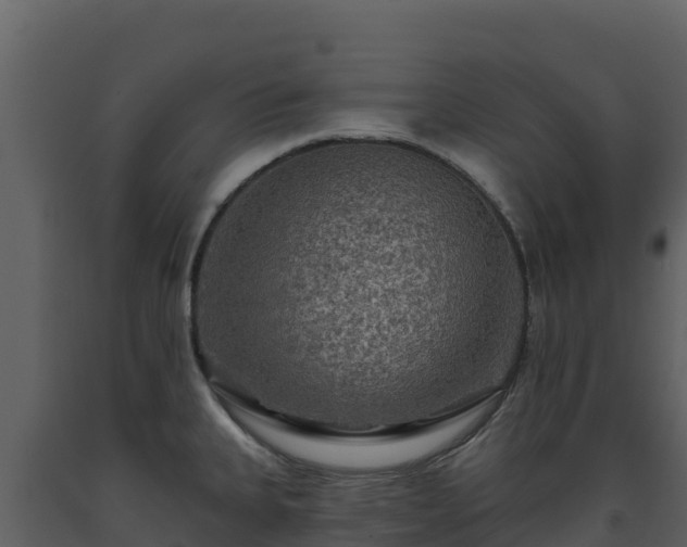 X0000093471335200710191137