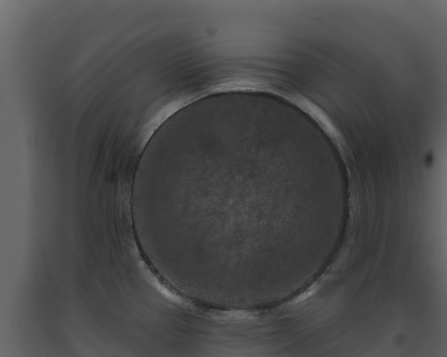 X0000093471337200710191137