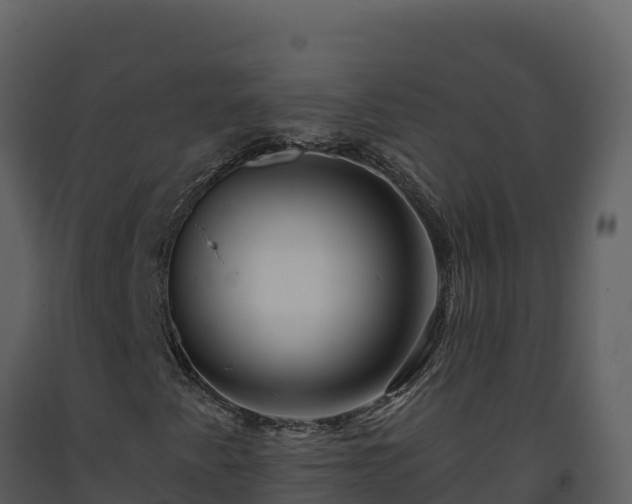 X0000093471345200710191136