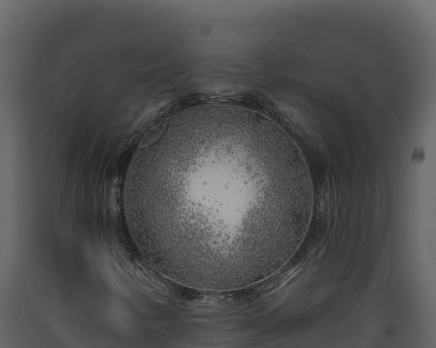 X0000093471346200710191136