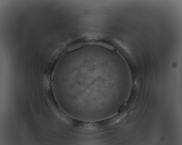 X0000093471348200710191136