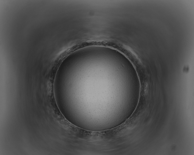 X0000093471350200710191136