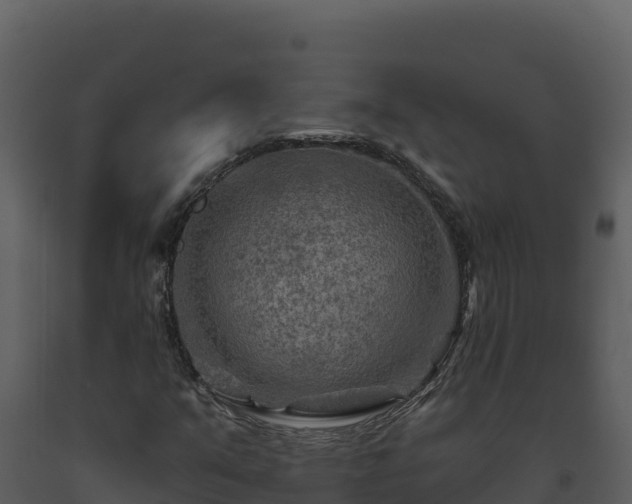 X0000093471351200710191136