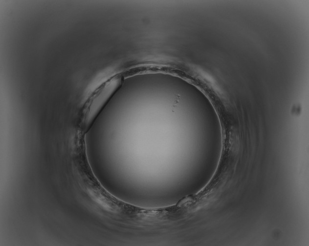 X0000093471352200710191136