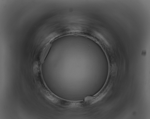 X0000093471353200710191136