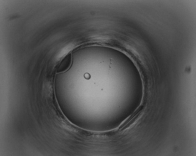 X0000093471354200710191136