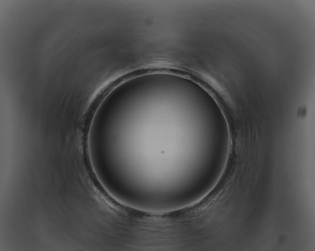 X0000093471356200710191136