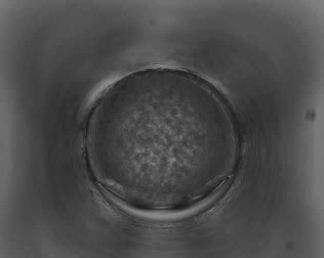 X0000093471359200710191136