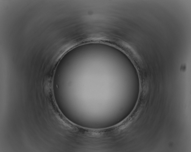 X0000093471361200710191136