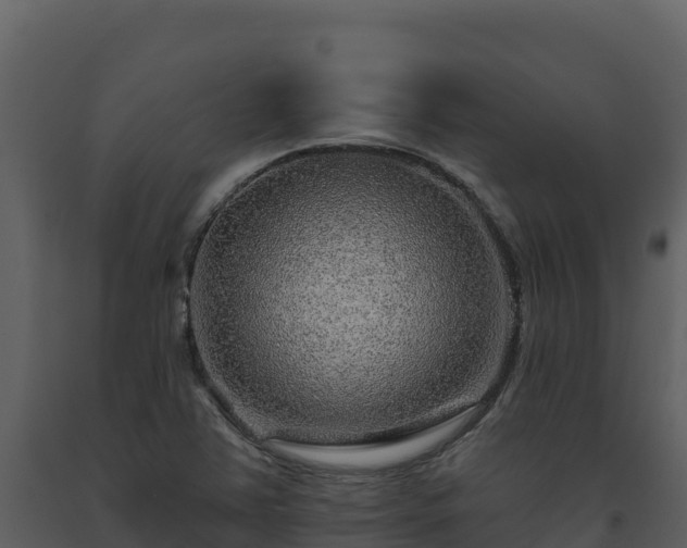 X0000093471363200710191136