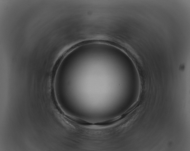 X0000093471364200710191136