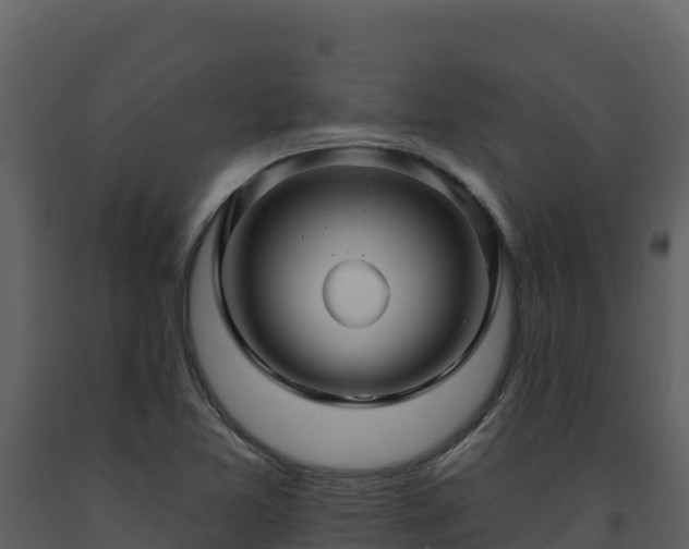 X0000093471365200710191136