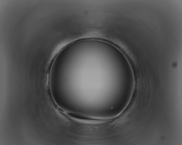 X0000093471366200710191136