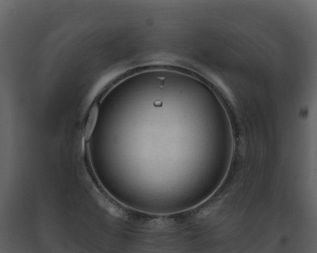 X0000093471368200710191136