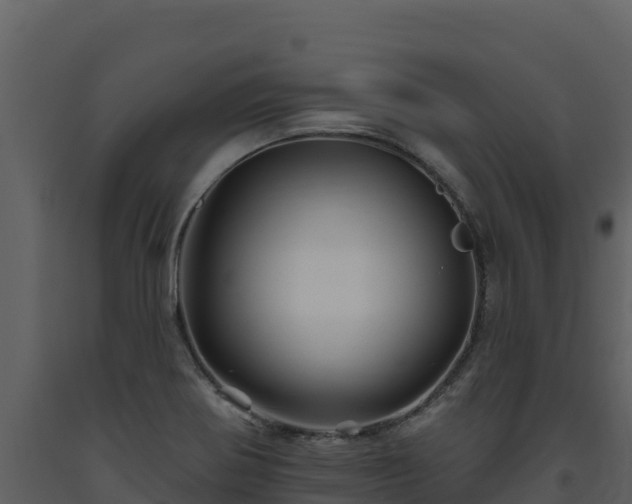 X0000093471370200710191136