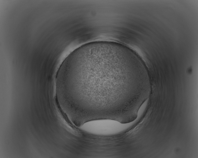 X0000093471371200710191136