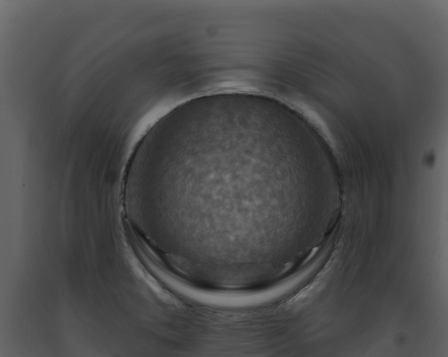 X0000093471373200710191136