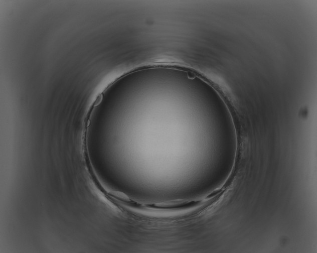 X0000093471374200710191136