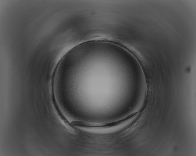 X0000093471375200710191136