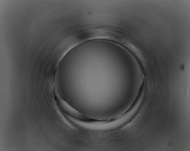 X0000093471377200710191136