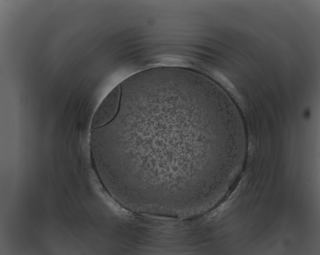 X0000093471378200710191136