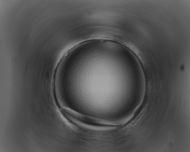 X0000093471379200710191136