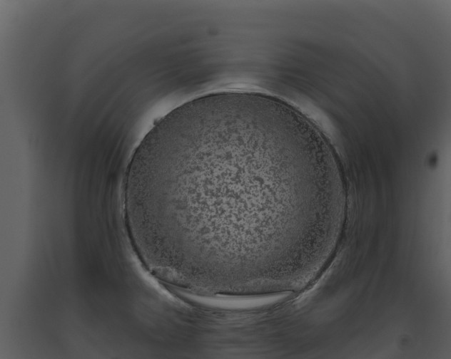 X0000093471382200710191136