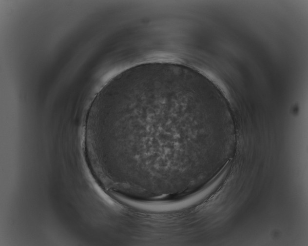 X0000093471383200710191136