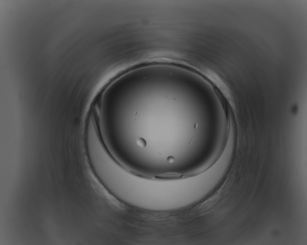 X0000093471384200710191136