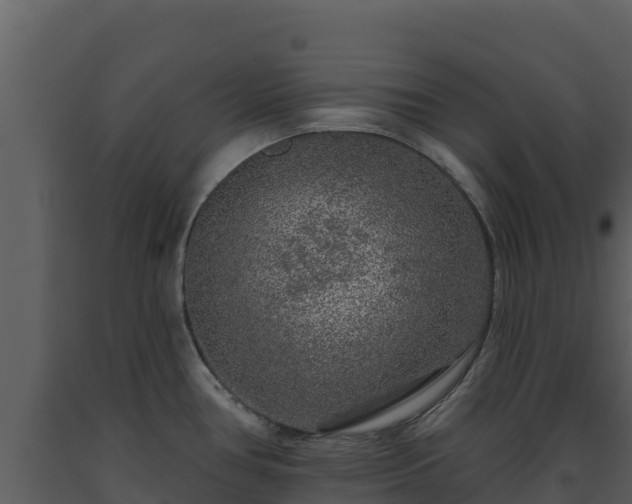 X0000093471386200710191136