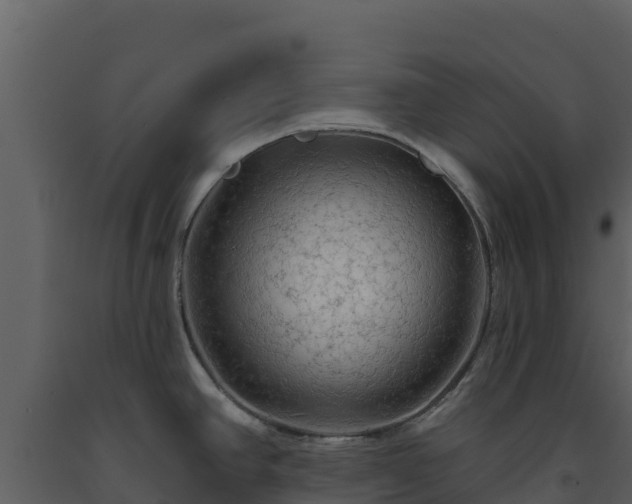 X0000093471390200710191136