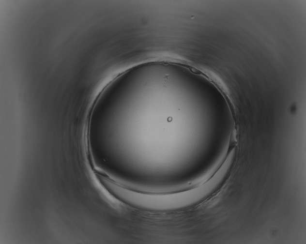 X0000093471391200710191136