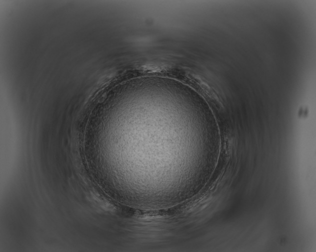 X0000093471393200710191135