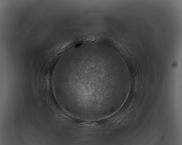 X0000093471394200710191135