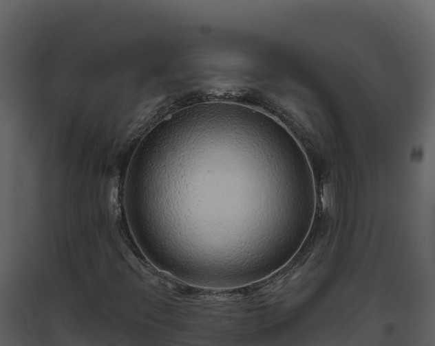 X0000093471396200710191135