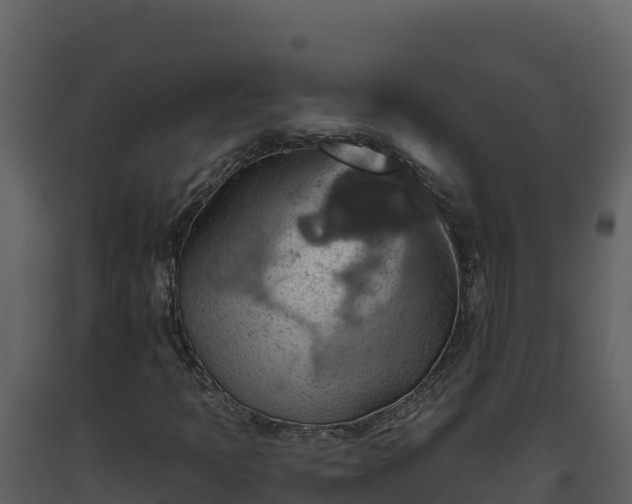 X0000093471397200710191135