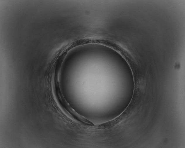 X0000093471398200710191135