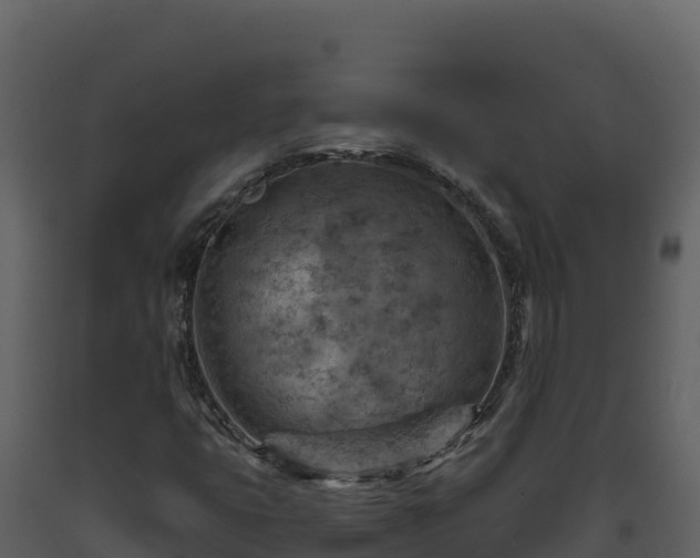 X0000093471399200710191135