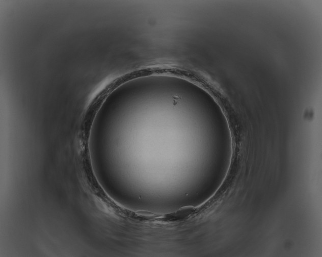 X0000093471400200710191135