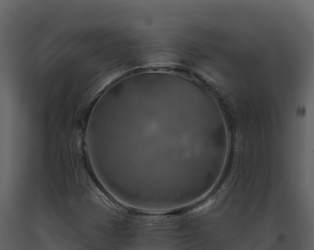 X0000093471401200710191135