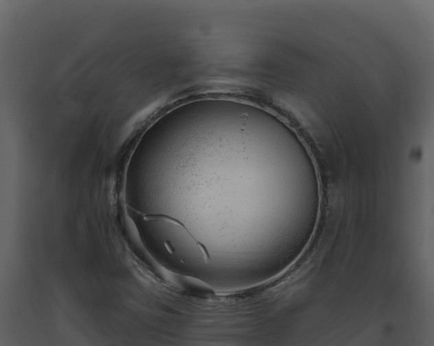 X0000093471403200710191135