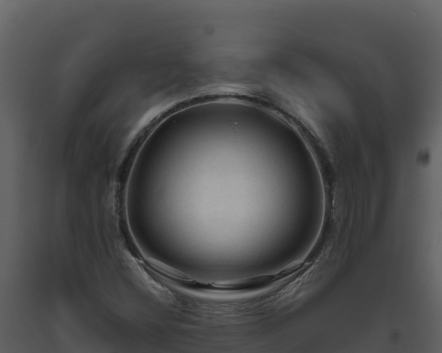 X0000093471404200710191135