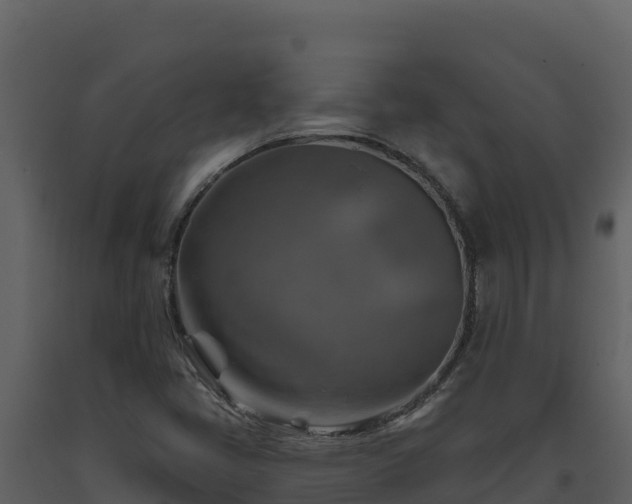 X0000093471405200710191135