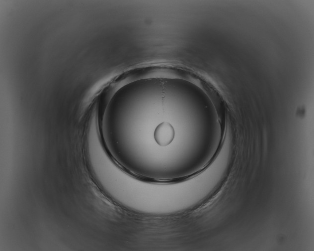 X0000093471406200710191135