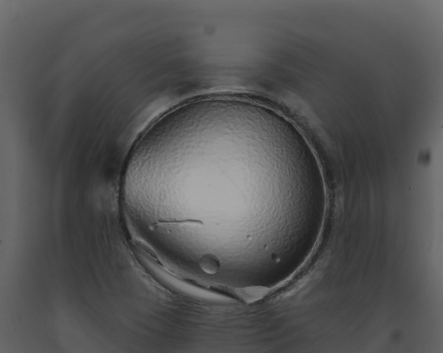 X0000093471409200710191135