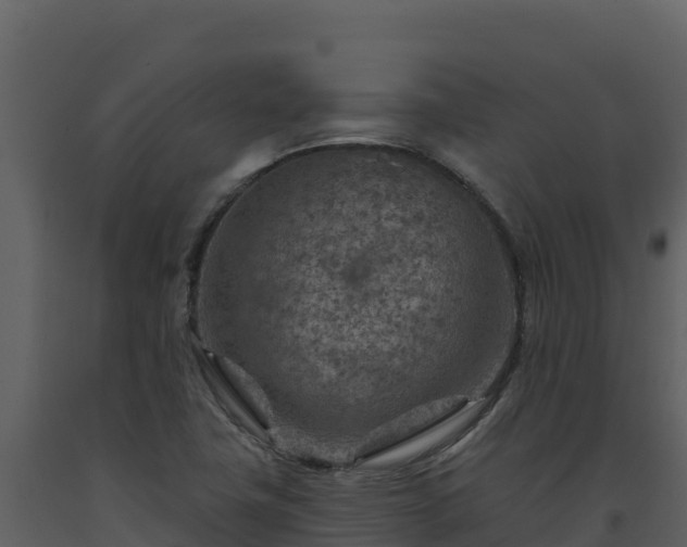 X0000093471411200710191135