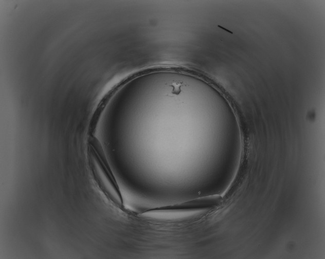 X0000093471412200710191135